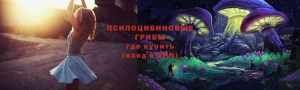 Альфа ПВП Абдулино