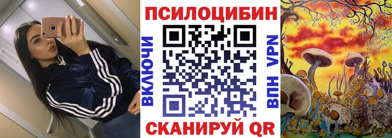 Галлюциногенные грибы Psilocybine cubensis  это клад  Новотитаровская 