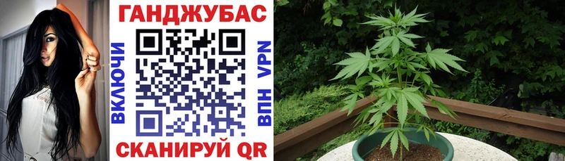 Шишки марихуана VHQ  Новотитаровская 